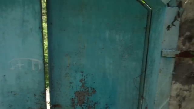 Персик из косточек - ДА. Грецкий орех из семян - НЕТ. смотреть онлайн