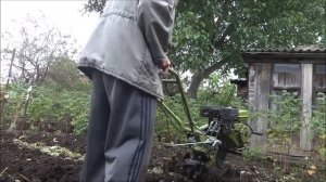 Мотоблок DON 900-3. Фрезеровка для посадки ржи на сидераты.