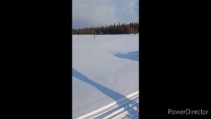 Архангельск-Верхняя Золотица по тайге на вездеходах.