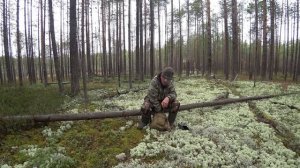 Пошёл в лес за ягодами брусники. 1 серия /ПОХОД 18 .09.22/