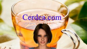 Вся правда о Ройбуш чай: чем полезен ройбуш чай, свойства чая ройбуш ройбос