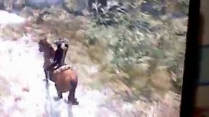 [Bug] Skyrim: Horse Physics