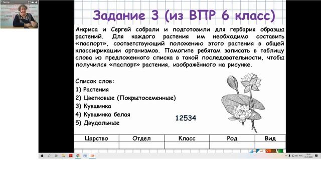 ВПР по биологии в 5 - 8 классах смотреть онлайн