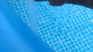 как почистить ДНО бассейна ( #Фсёпро100 )