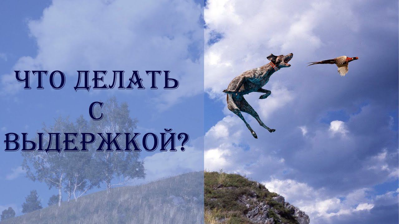 Придется поработать с собакой! смотреть онлайн