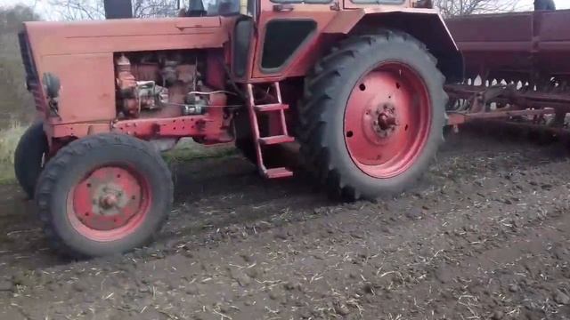 посевная яровой пшеницы | Первый день посевной| сеем сорт торридон | смотреть онлайн