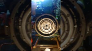 Маз зубренок