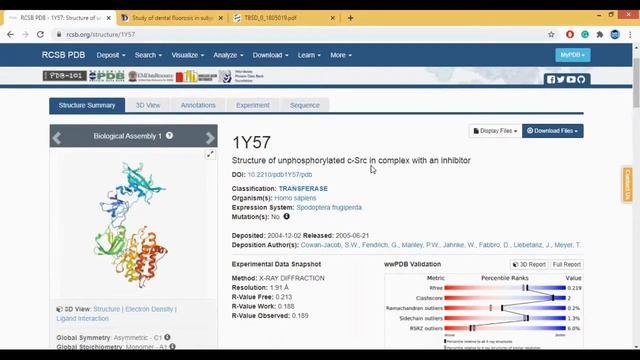PDB Database Tutorial- A Beginners Guide