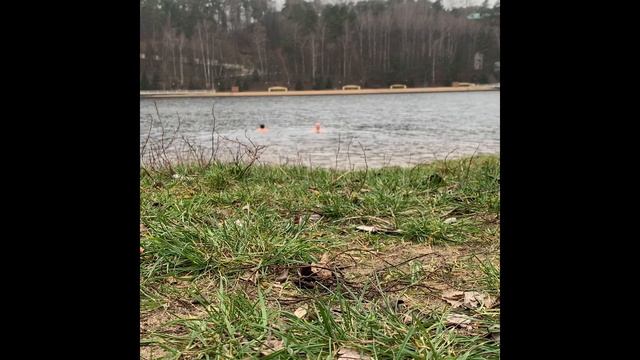 1 выпуск. 22.12.2019 разминались... КУПАНИЕ В ПРОРУБИ смотреть онлайн