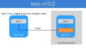 11 20 Istio mTLS