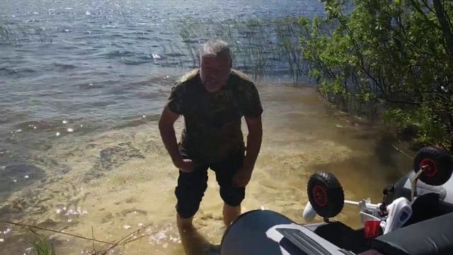 Цветёт берёза, пыльца смотреть онлайн