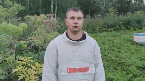 Таёжная пасека. Сбор Дягилевого мёда. Пасека Дорохиных