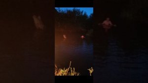 По полям по полям