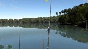 Пиранья вымпельная, открытие локации Паракари в игре Трофейная рыбалка 2