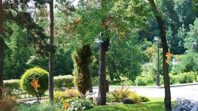 Прогулка по набережной Амура города Хабаровска смотреть онлайн