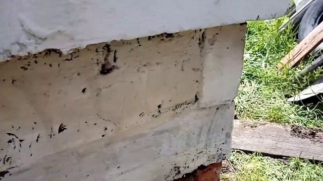 Печь после зимы. смотреть онлайн