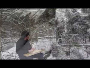 Кантеле в зимнем лесу.  Kantele in the forest
