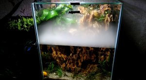 Аквариум с туманом и водопадом!