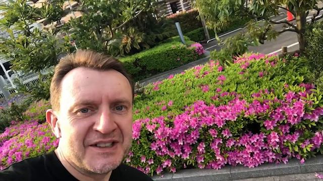 The rhododendron смотреть онлайн