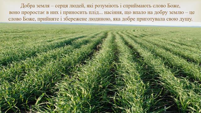 Недільна школа. 2 клас. Урок 18/1 Притчі про сівача, про митаря і фарисея смотреть онлайн