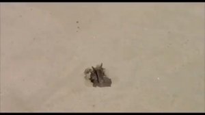 Фаррух Саипов - Зам зам суви хакида Умра Сафарида