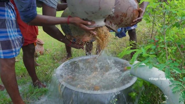 SAPOTA JUICE | Farm Fresh Sapota Fruit Harvesting and Preparing Juice in our Sapota Farm смотреть онлайн