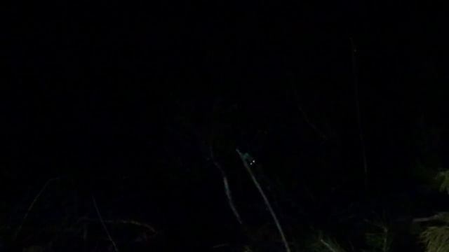 ЖОР! ЗАКИДУШКИ ГНУТ, ВЫРЫВАЮТ ИЗ РУК! ПОСТАВИЛ ЖИВЦА И ВОТ РЕЗУЛЬТАТ! РЫБАЛКА С НОЧЁВКОЙ! смотреть онлайн