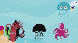 Квиз для детей МИЛЫЕ ЖИВОТНЫЕ Кальмар, Осьминог, Медуза, Угадай викторину