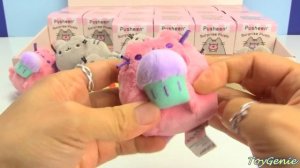 Pusheen Surprise Plushies Kitty Cat Snack Time Series in Blind Boxes