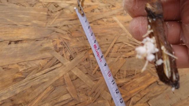 Этот укоренитель для черенка винограда ожидаемо уделал другие,ставишь виноград на укор и не паришьс смотреть онлайн