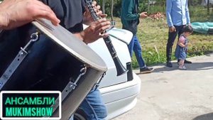 Туй дар Краснодар Кларнет Дабал Камера 📷