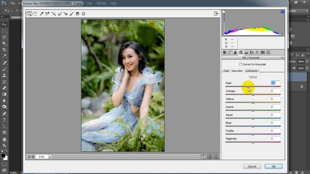 Outdoor Portrait Photography Tones | Camera Raw Presets | Color Grading Photoshop Tutorial смотреть онлайн
