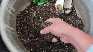 Как приготовить грунт для рассады огурцов