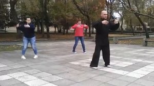 Тайцзицюань Ян 13 ши Семён Турмачев