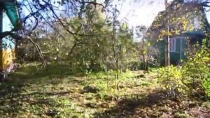 Дача СНТ "Восход" продажа