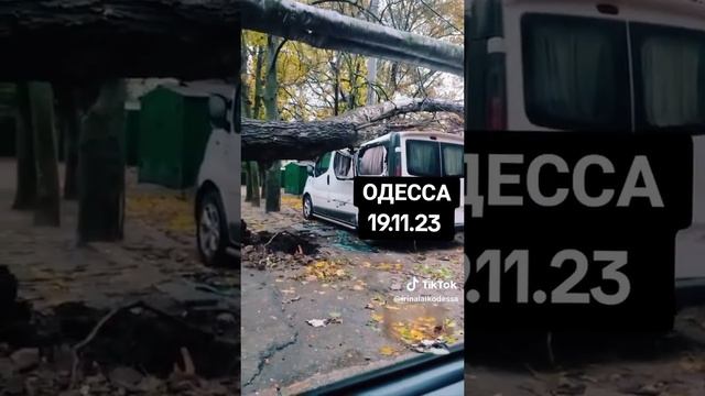 Буря в Одессе: 11/19/2023! ?️??️??️?️?