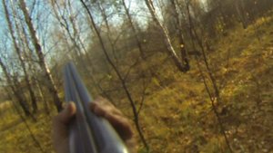 охота на вальдшнепа как есть