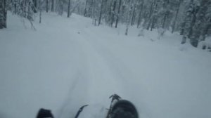 #Мотобуксировщик#МотоДог#с модулем толкач.