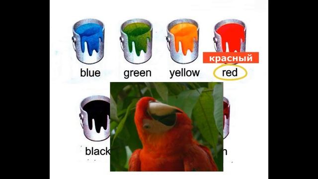 COLOURS / ЦВЕТА, 1 класс, английский язык, произношение