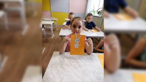 Проект Дикие животные