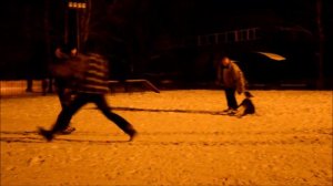 Бультерьер защита,против двух нападающих.