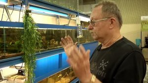 Как выбрать аквариум?