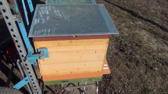 донный пыльце сборник на стандартное дно смотреть онлайн