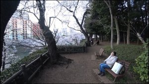 Прогулка по Токио