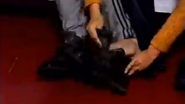 Мимоза смотреть онлайн