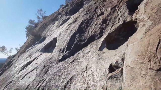 8 Дневный Частный тур по Австралии с русским гидом