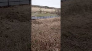 Бугульма дача главы бывшего КАСЫМОВА