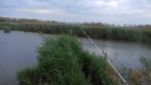 Рыбалка в Пересыпи на белый спиннинг .
