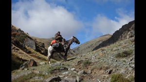trekking Altay. Трекинг на Алтае на лошадях.
