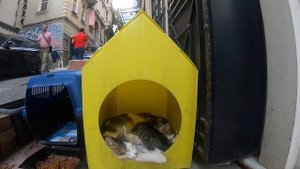 Путешествие в Стамбул, октябрь 2019